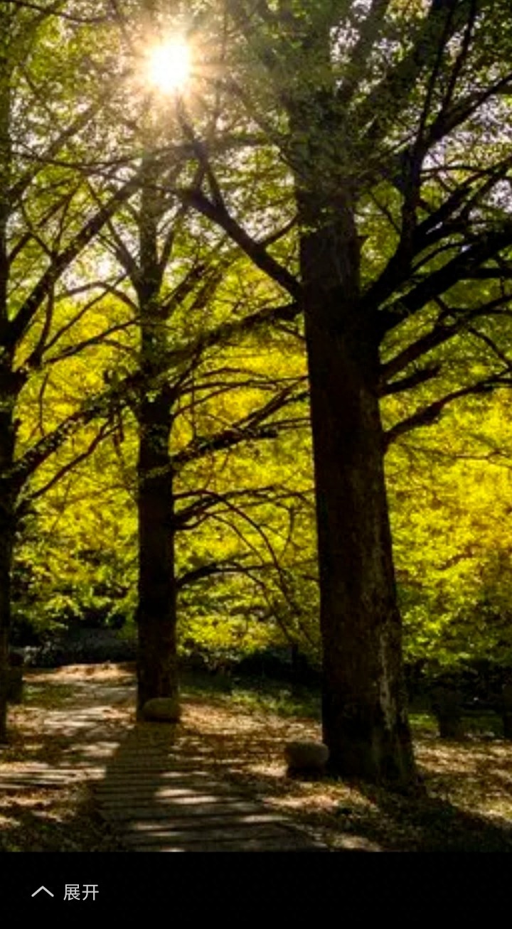 性格是命运的舵，还是风中的帆！解开两者深层关联