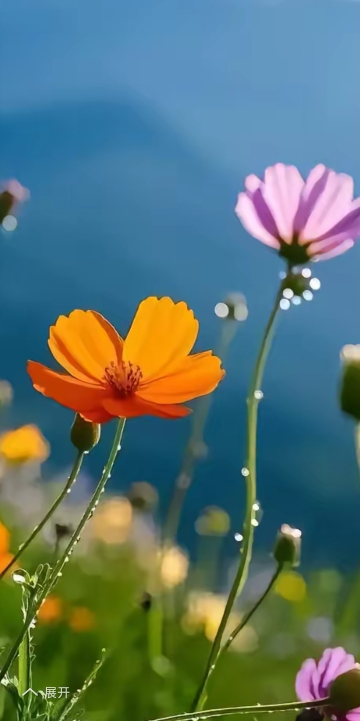 性格决定人脉_性格与命运的关系分析_性格如何影响人生轨迹