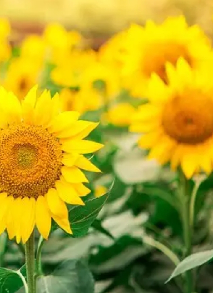 性格如何影响人生轨迹_性格与命运的关系分析_性格决定人脉