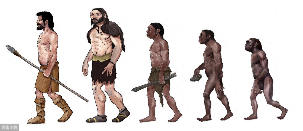 遗传算法：组合优化算法，按照进化论的方式启发搜索寻优解