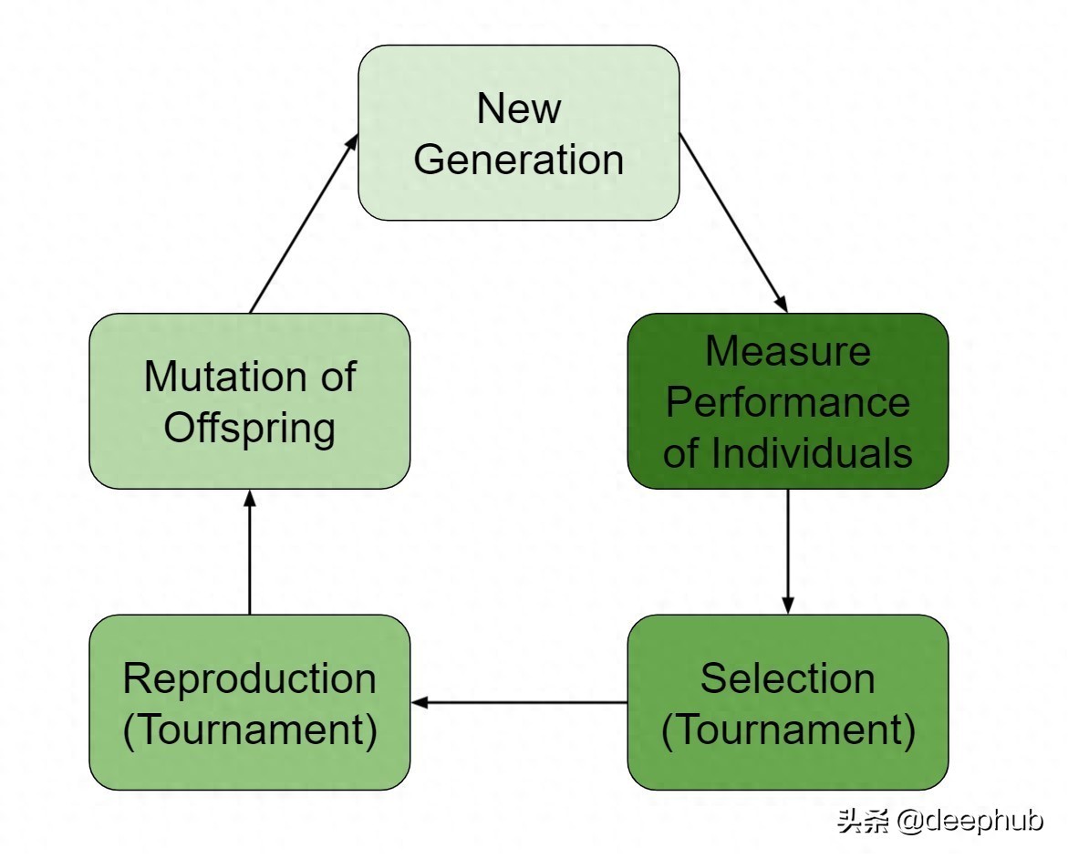 基于遗传算法的特征选择：通过自然选择过程确定最优特征集