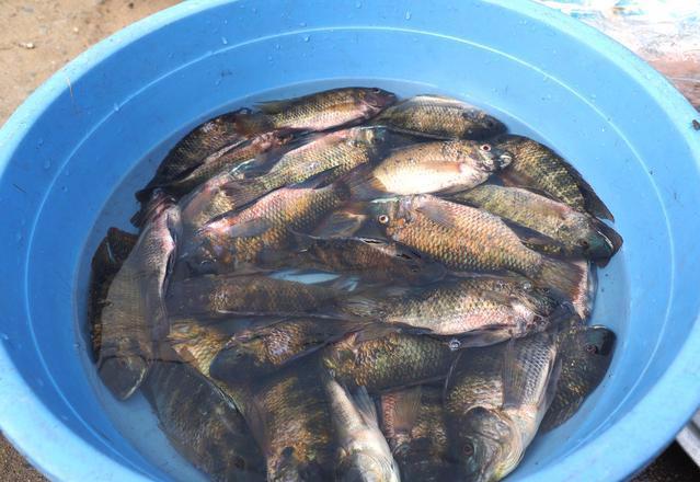 毛巾去粘去味方法_生活应用方面的知识_生活小技巧大全