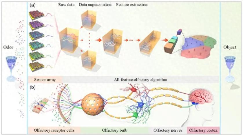 闻！电子鼻更灵敏了，气味识别系统在部分领域的应用案例