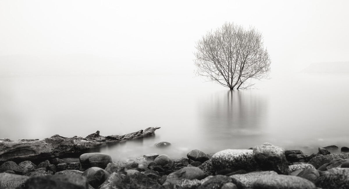 蔡格尼克效应生活应用_未完成感心理学_蔡格尼克效应