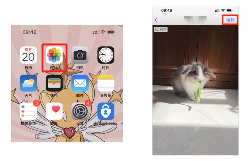 苹果手机怎么弄动态视频_苹果相册编辑制作GIF_iPhone制作GIF动图