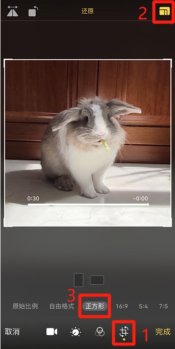 苹果手机怎么弄动态视频_iPhone制作GIF动图_苹果相册编辑制作GIF