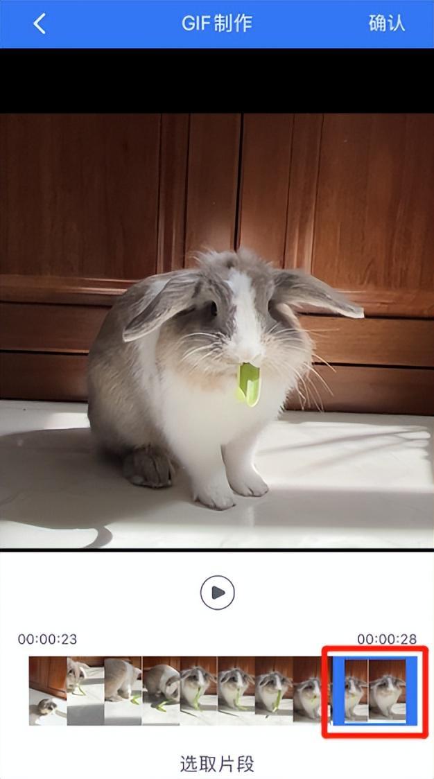 苹果手机怎么弄动态视频_苹果相册编辑制作GIF_iPhone制作GIF动图