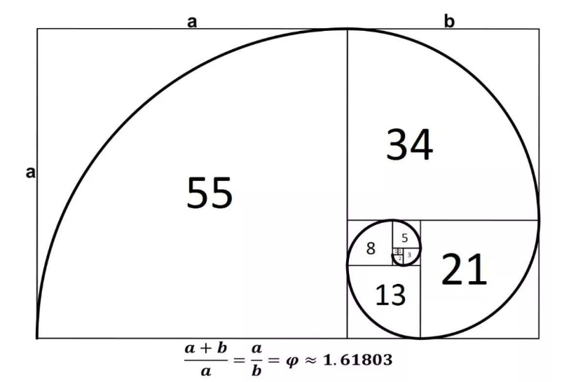 斐波那契的生活应用体现在什么方面？