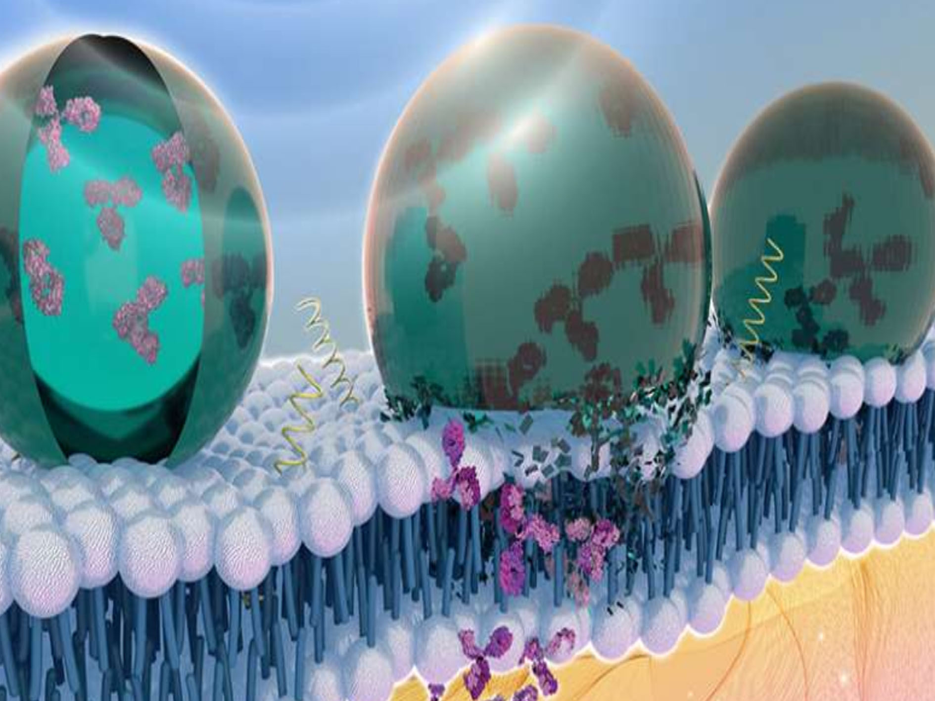 纳米技术在艺术应用_纳米技术在电影制作_纳米技术生活应用