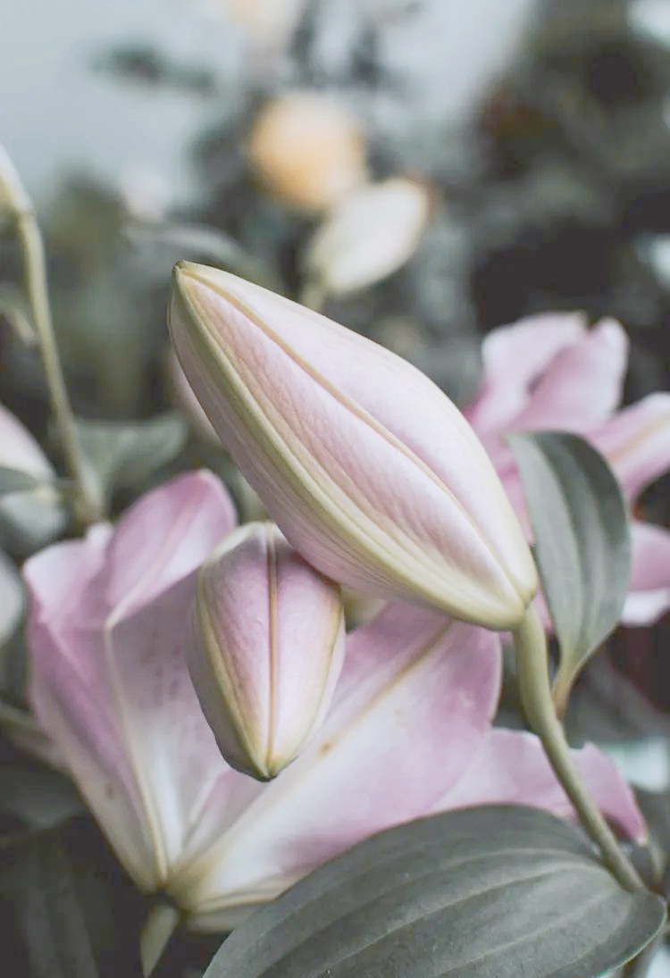 kiayun手机版登录 iPad 游戏声音缺失问题探究及解决策略