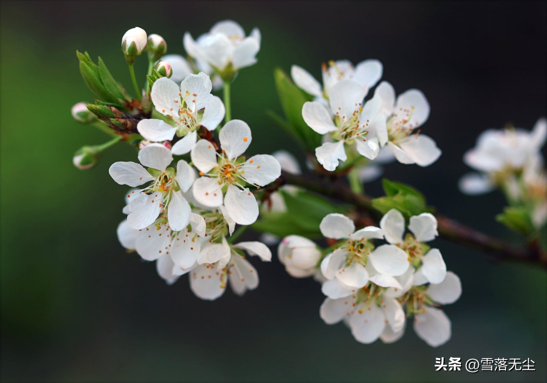 分手后难以走出心理阴影的原因_蔡格尼克效应与失恋情绪_蔡格尼克效应生活应用