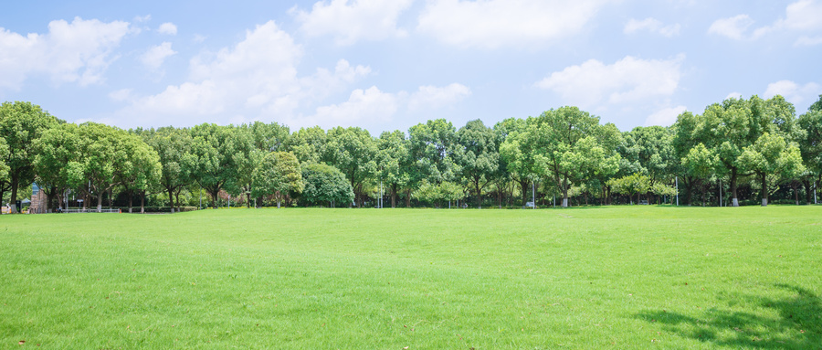 物化政2026年可选专业_物化政好就业专业推荐_物理化学在生活应用