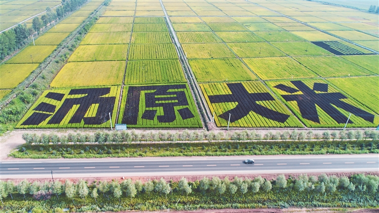 东北网黑龙江