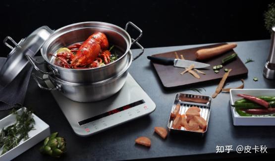 电磁炉选购注意事项_电磁感应加热原理_电磁炮生活应用