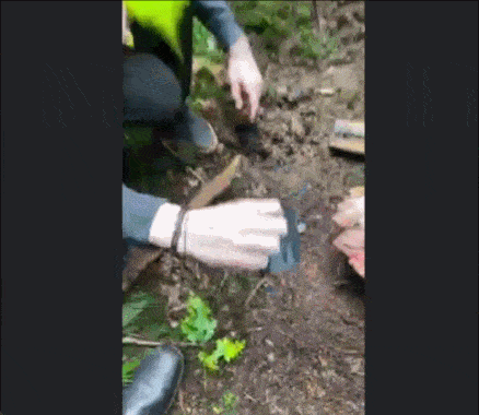 邪恶冥刻 Devolver Digital Metagame_小黑游戏邪恶游戏专题