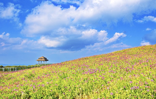 提升个人能力价值_建立有效人脉关系_如何进入优秀人脉圈子