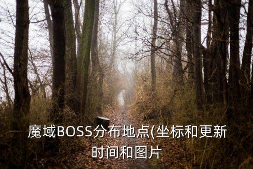 魔域BOSS分布地点(坐标和更新时间和图片