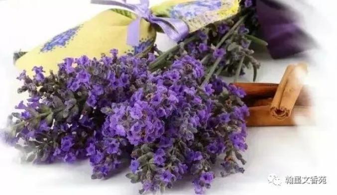 苏轼逆向思维_生活逆向思维应用故事_换个角度看问题