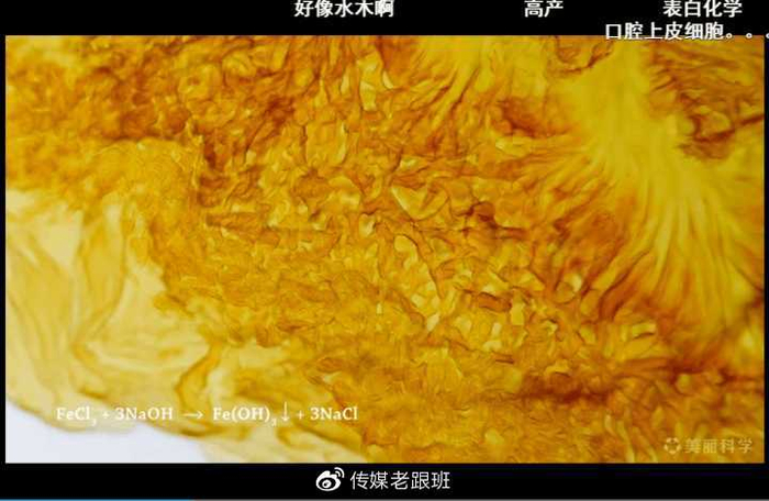 B站有哪些「惊为天人」的UP主？赶快Mark