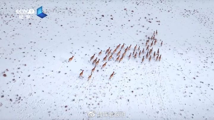 B站有哪些「惊为天人」的UP主？赶快Mark