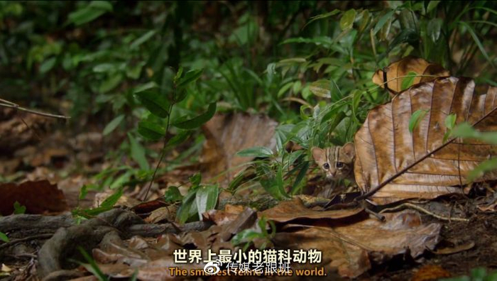 B站有哪些「惊为天人」的UP主？赶快Mark