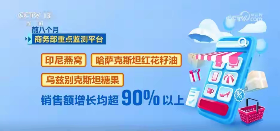 品质电商消费升级_游戏专题 电商专题_中国电子商务发展速度