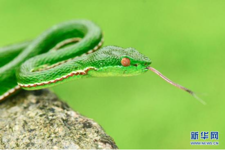 无线电的理论依据,无线电的诞生之路,电磁场理论