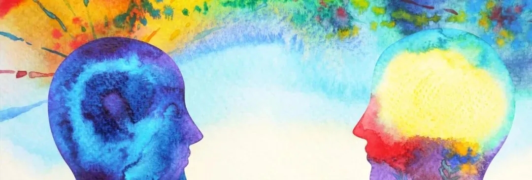 知觉哲学_跨域知觉哲学研究_知觉的基本特征 生活应用