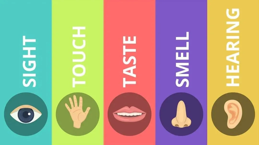 跨域知觉哲学研究_知觉哲学_知觉的基本特征 生活应用