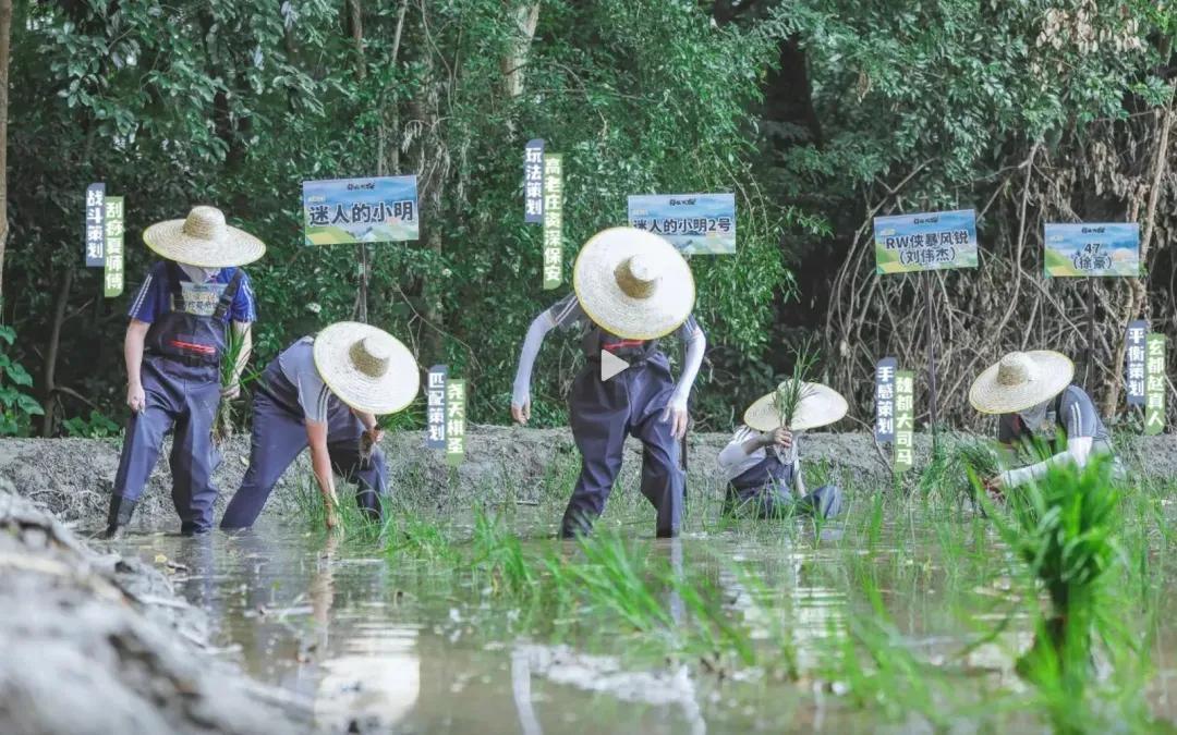 王者荣耀营收增长_王者荣耀行业地位_网易游戏专题