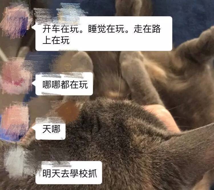这款抓宠物小精灵的游戏能引领AR行业的风口吗?