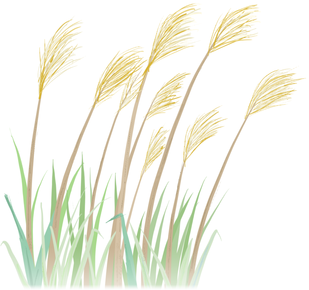 数学小报主题生活中的数学_生活中的数学应用小报_生活中数学应用小报