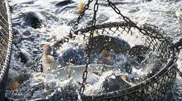 x-phone_AI+Web3手机XPhone _ W2140世界WEB3+AI博览会曼谷站 