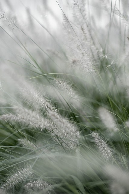 蔡格尼克效应与感情_中年感情拿捏_蔡格尼克效应生活应用