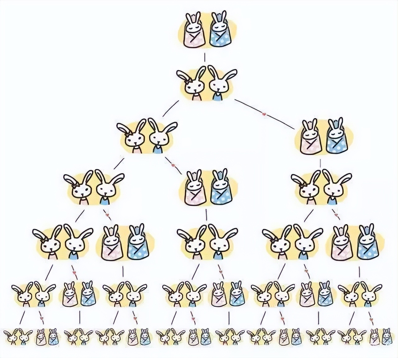 斐波那契数列与黄金分割_斐波那契数列生活应用_斐波那契数列在自然界中的应用