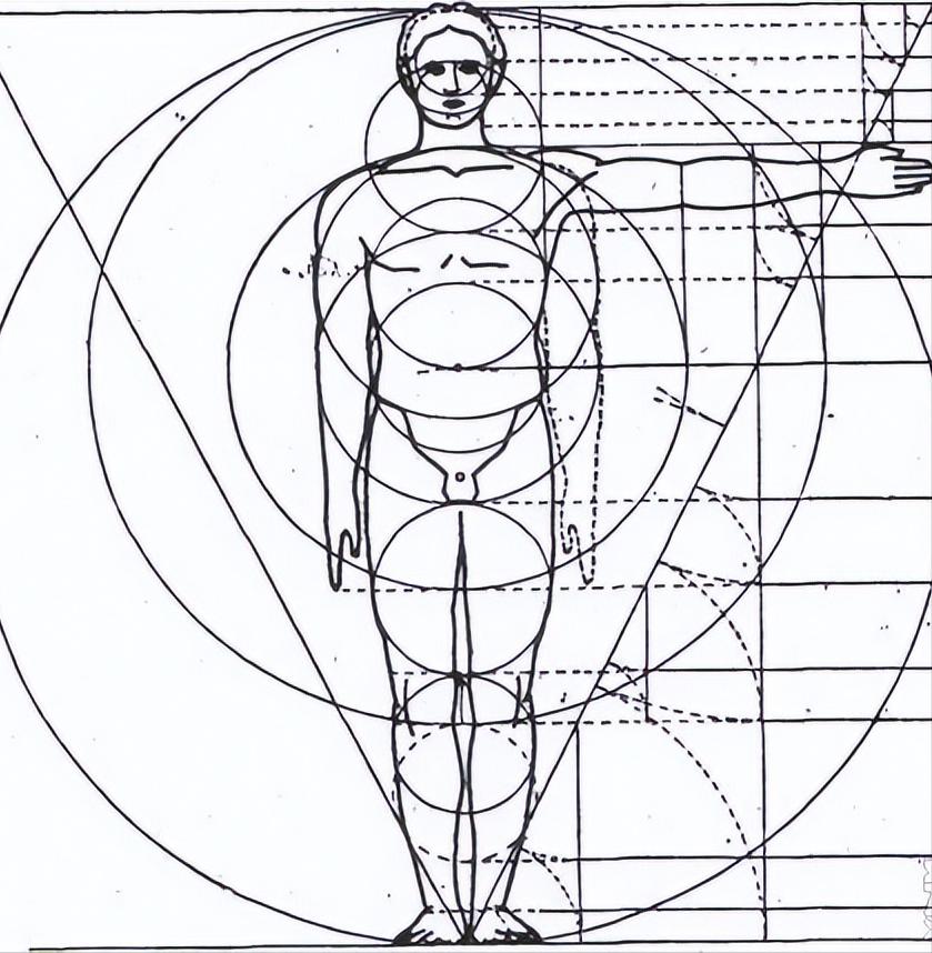斐波那契数列生活应用_斐波那契数列与黄金分割_斐波那契数列在自然界中的应用