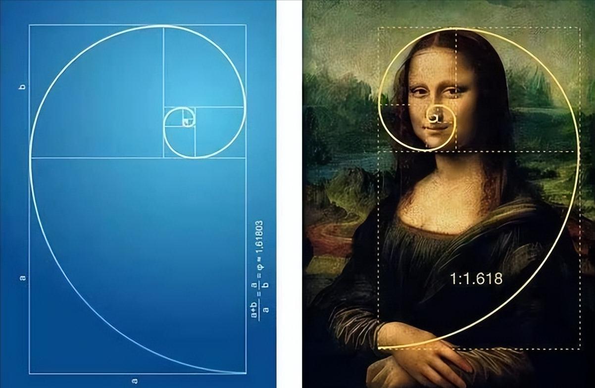 斐波那契数列生活应用_斐波那契数列与黄金分割_斐波那契数列在自然界中的应用