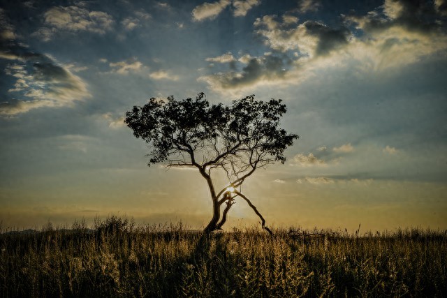 人的命，天注定：强求无益，顺其自然