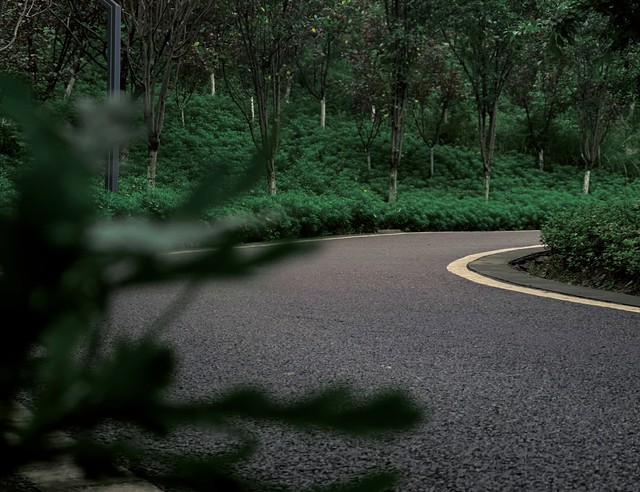 人的命天注定mp3百度云下载_人生轨迹不同_命运机遇_顺其自然的人生哲学