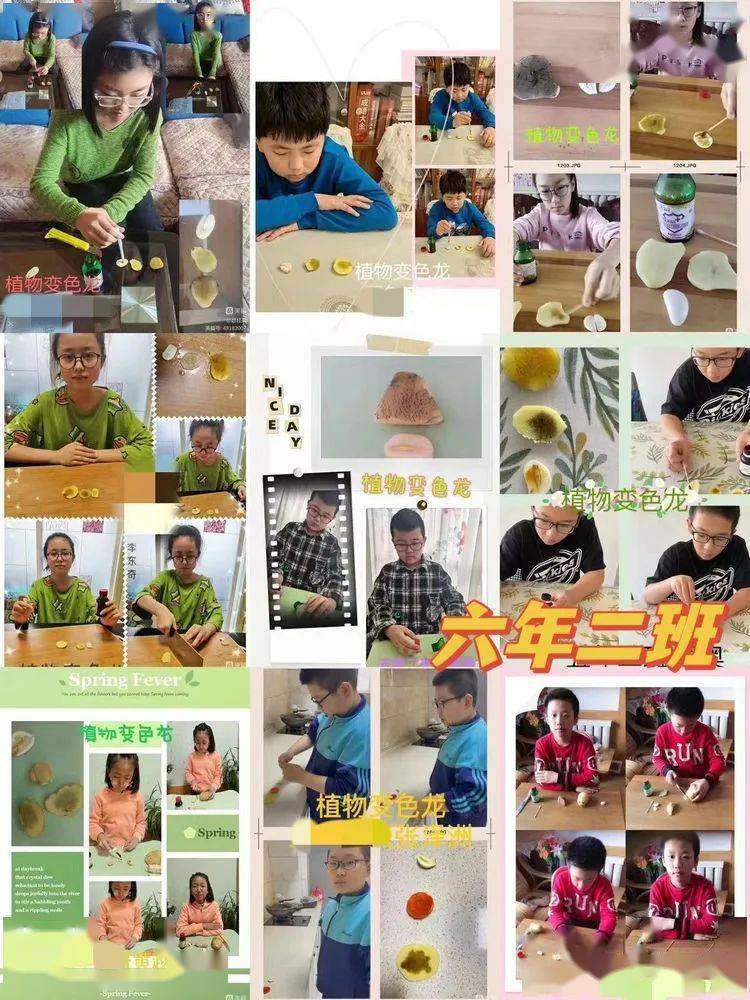 科学小实验_非牛顿流体实验_非牛顿流体生活应用