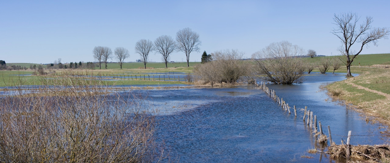 什么是乡村美学化？又为什么乡村被称为新“香格里拉”？