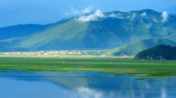 三伏天去香格里拉清凉一“夏”