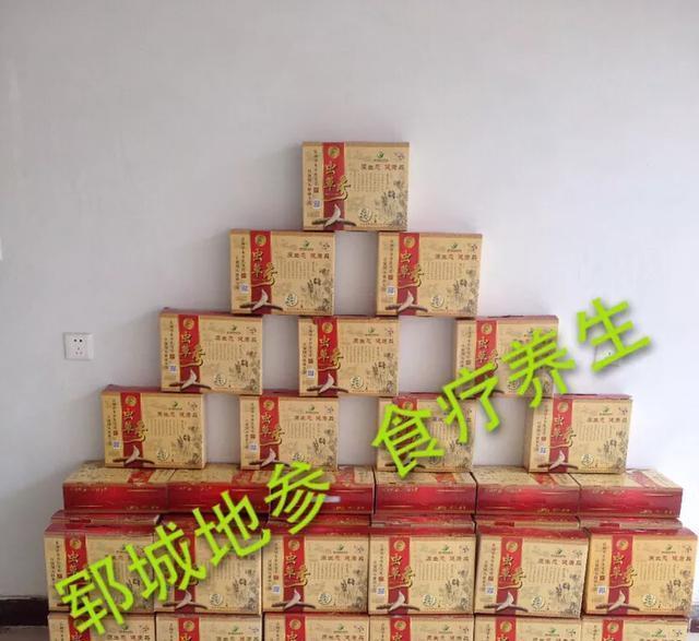 虫草参功效_虫草参食用方法_虫草参图片