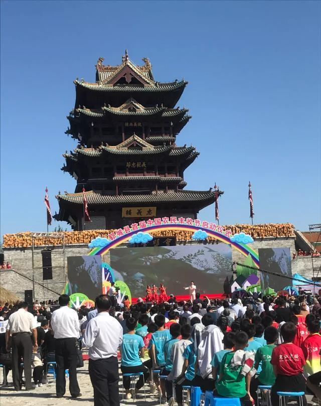 虫草参功效_虫草参食用方法_虫草参图片