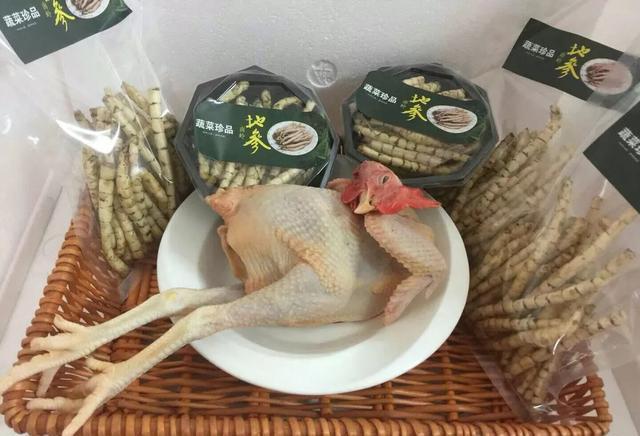 虫草参食用方法_虫草参图片_虫草参功效