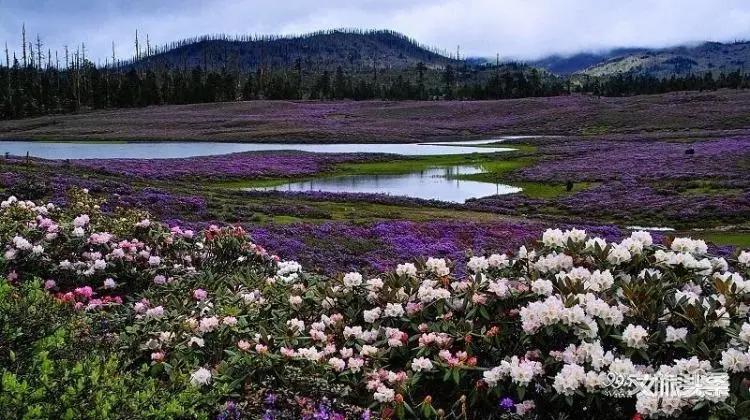 香格里拉是什么意思_香格里拉心灵乌托邦_迪庆天堂之旅