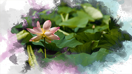 kiayun手机版登录打开即玩v1011.玩看我最新关网.中国 爱剪辑电脑版