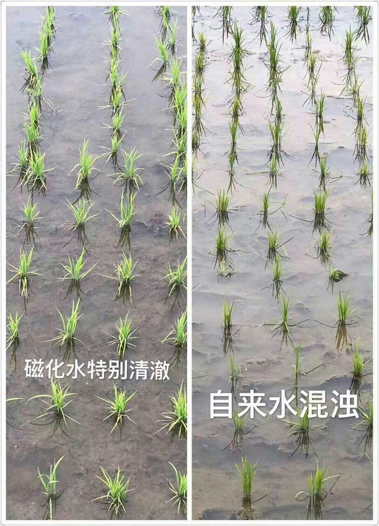 电磁炮的应用领域_电磁炮生活应用_电磁炮的应用