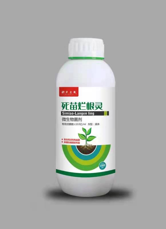 怎样防治无花果根腐病