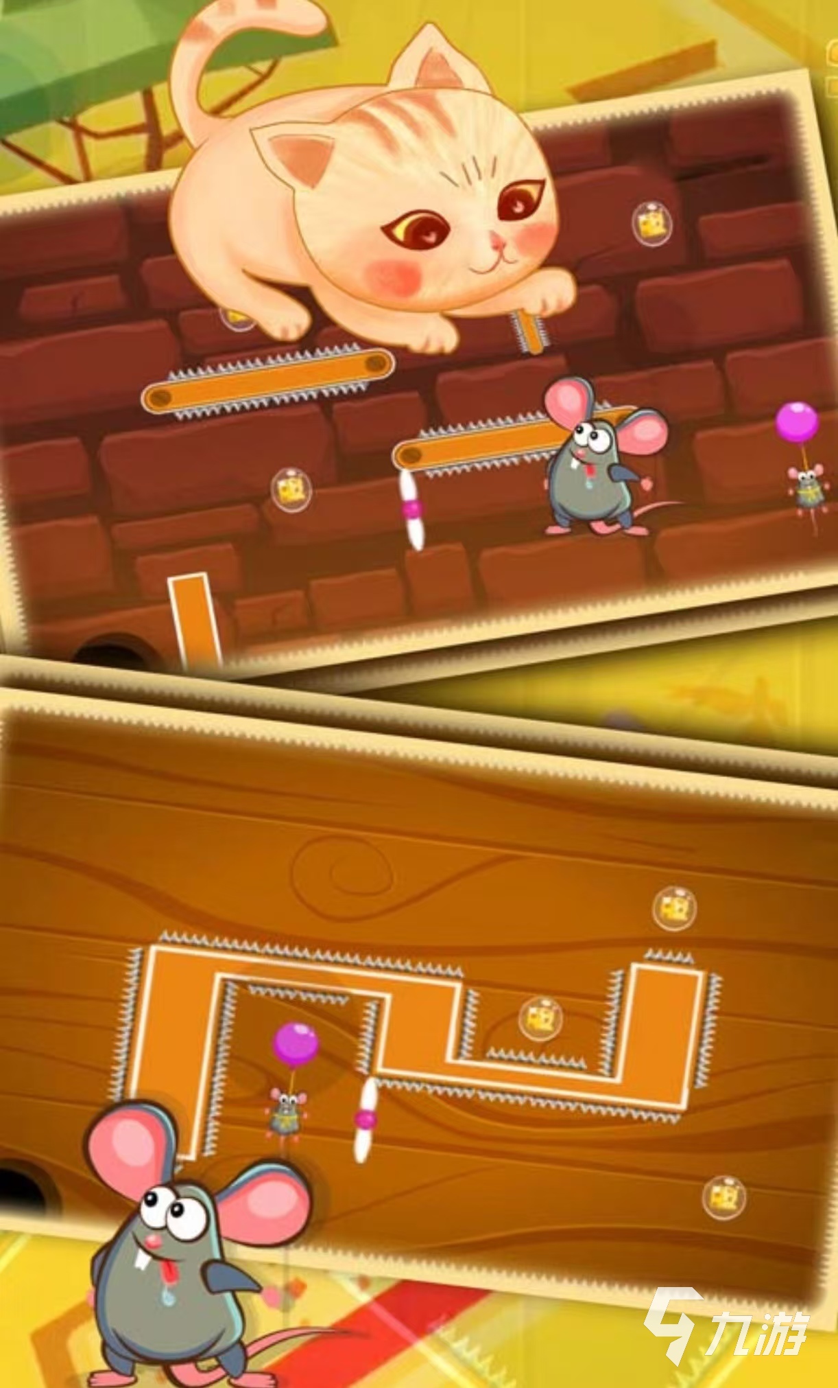 受欢迎的猫捉老鼠游戏有哪些 有趣的猫鼠手游大全2025
